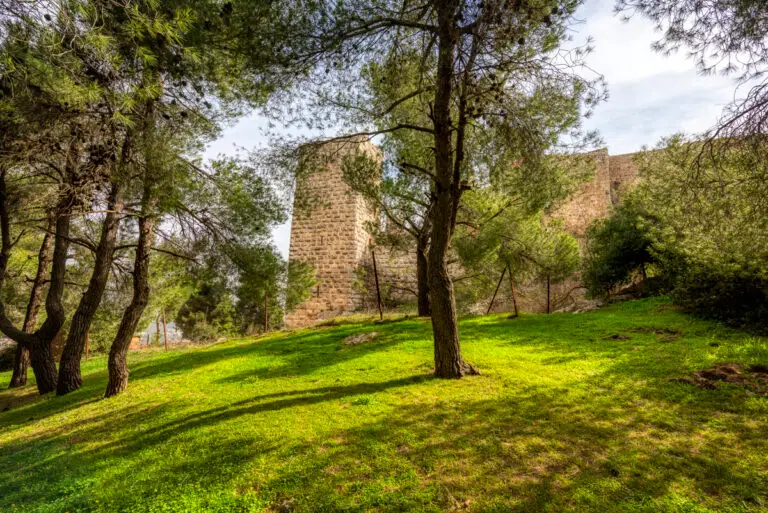 Ajloun Castle-02
