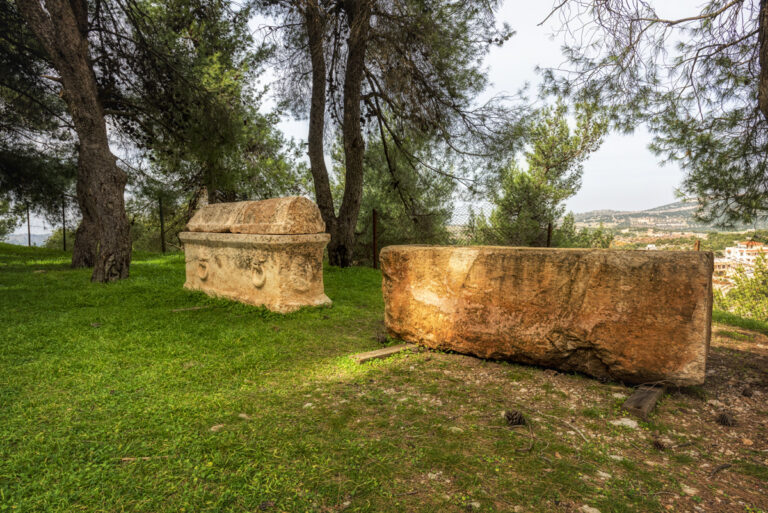 Ajloun Castle-64