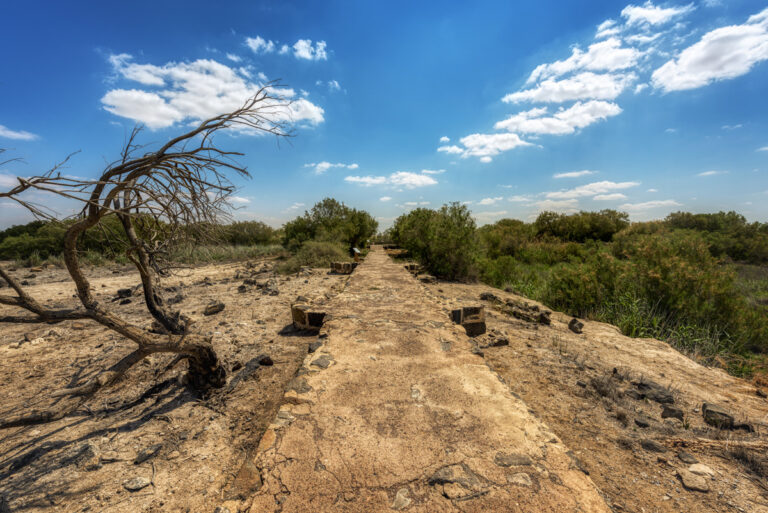 Umayyad Wall