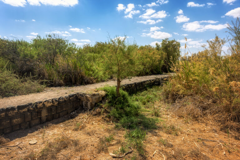 Umayyad Wall