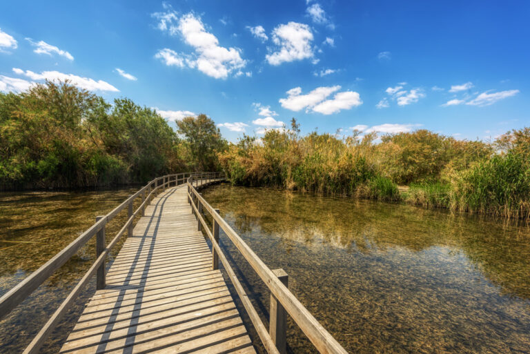 Marsh Trail