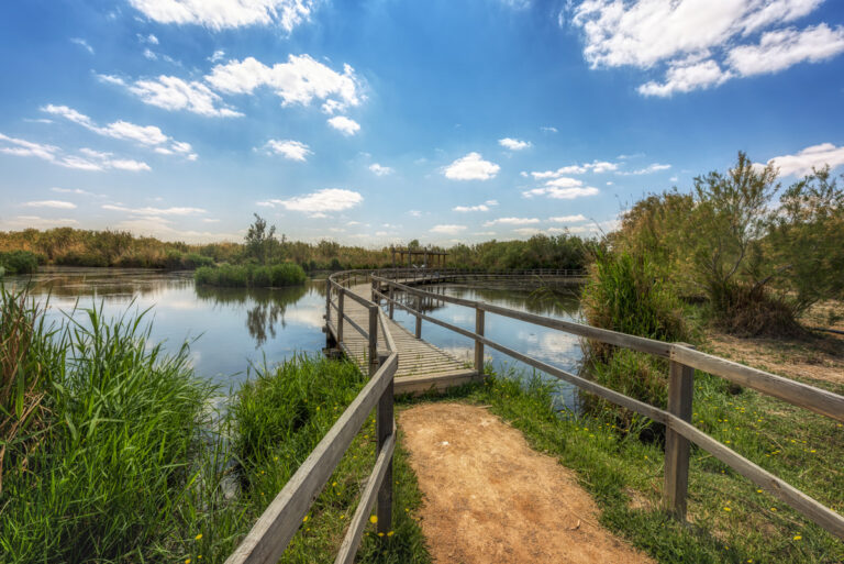 Marsh Trail