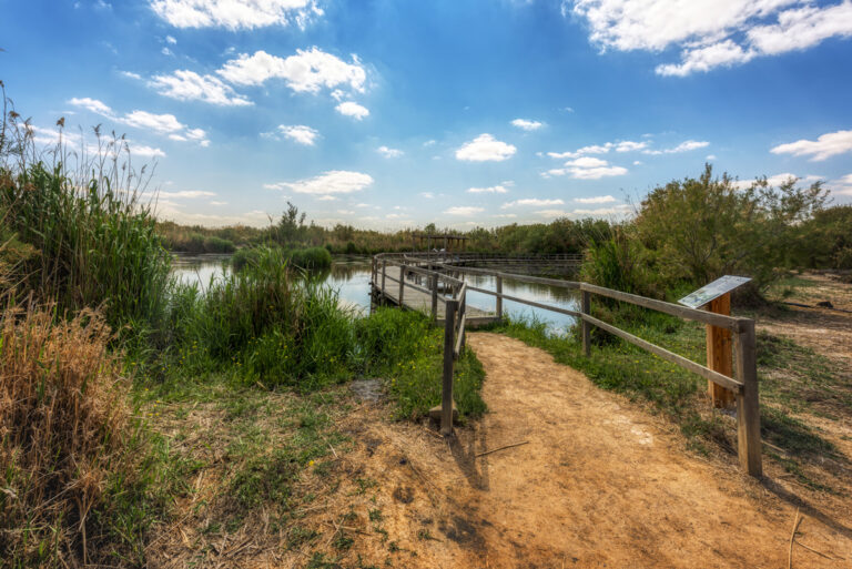 Marsh Trail