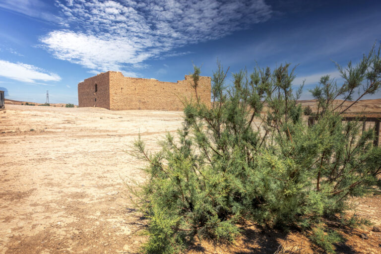 Qal'at Al-Hasa-028