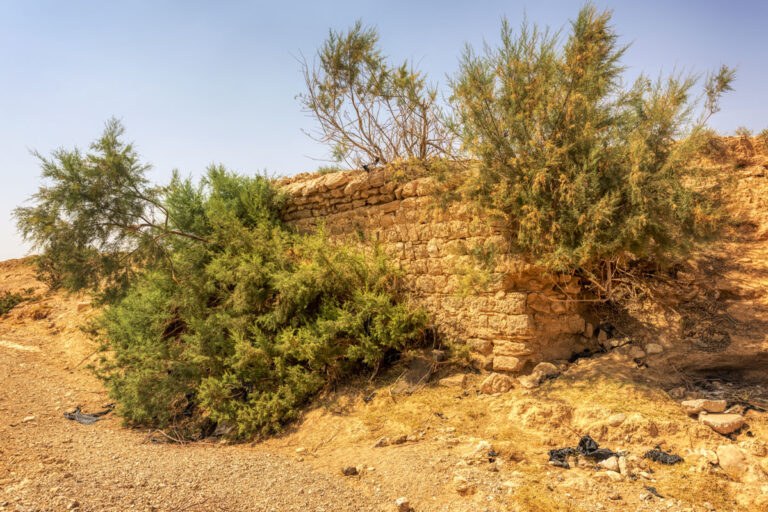 Qal'at Al-Hasa-032