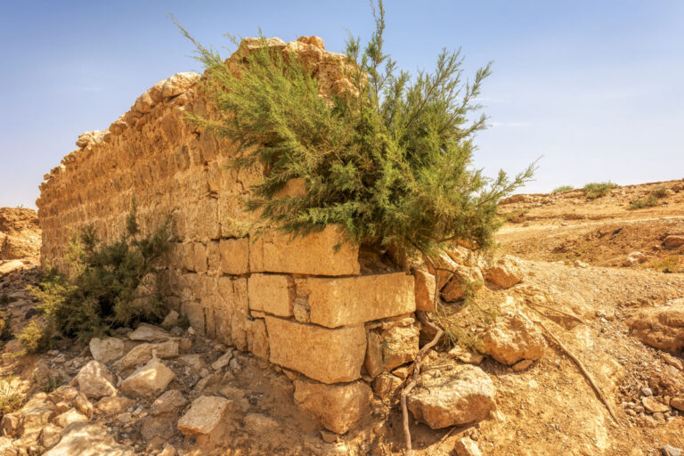 Qal'at Al-Hasa-036