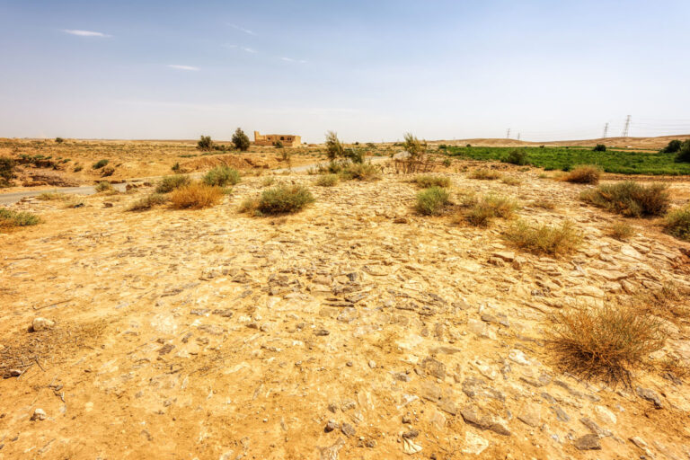 Qal'at Al-Hasa-042