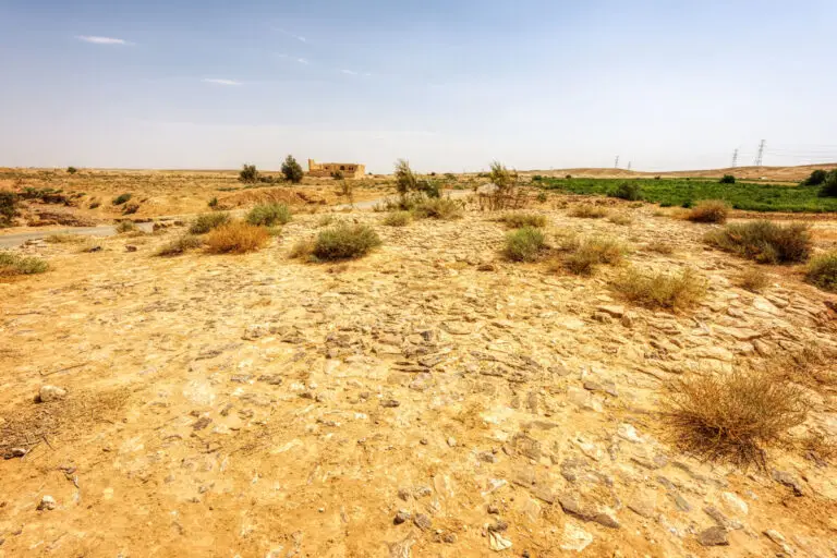 Qal'at Al-Hasa-042