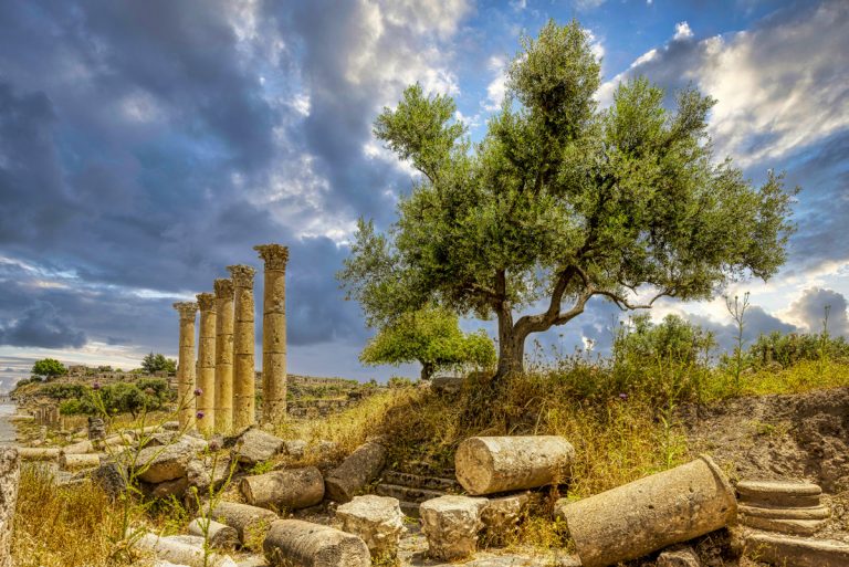 Best of Northern Jordan