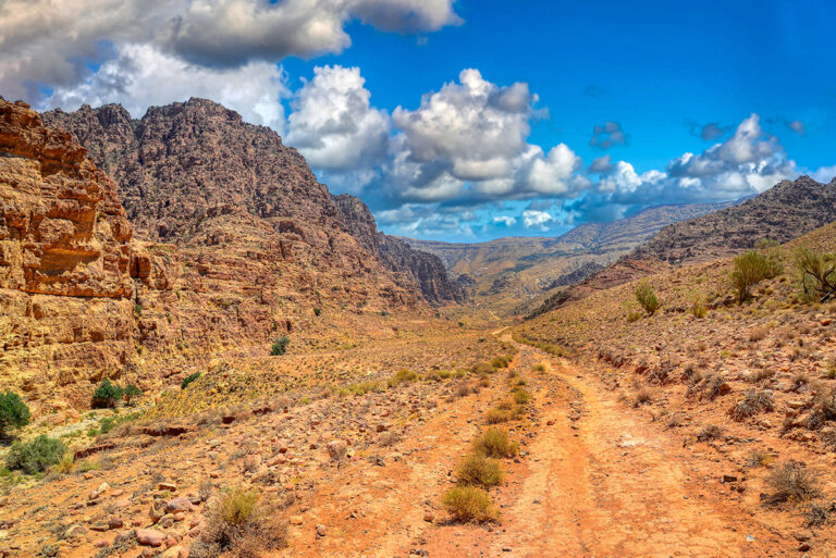 Wadi Dana Trail