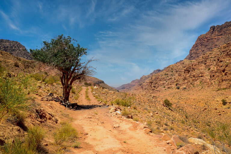 Wadi Dana Trail