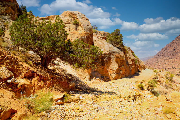 Wadi Dana Trail