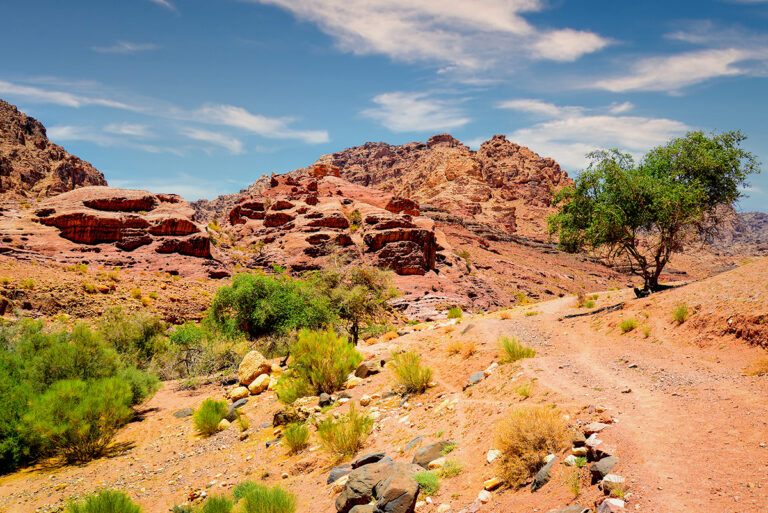 Wadi Dana Trail