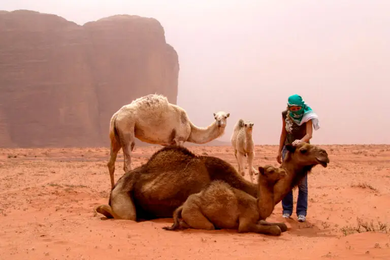 Sandstorm in Wadi Rum