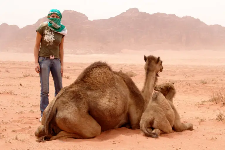 Sandstorm in Wadi Rum