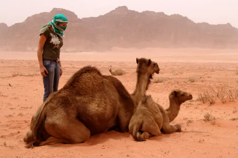 Sandstorm in Wadi Rum