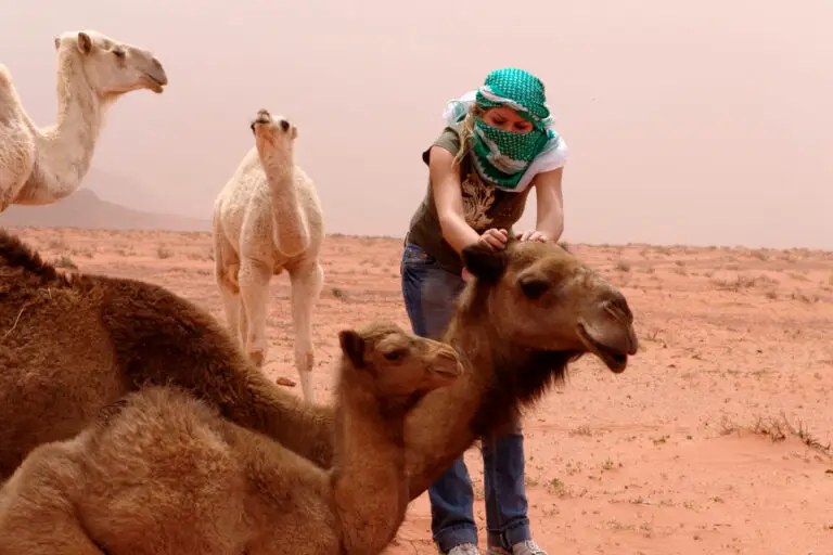 Sandstorm in Wadi Rum