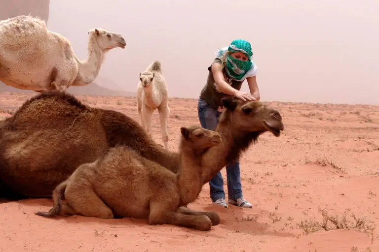 Sandstorm in Wadi Rum