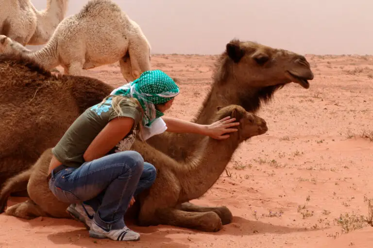 Sandstorm in Wadi Rum