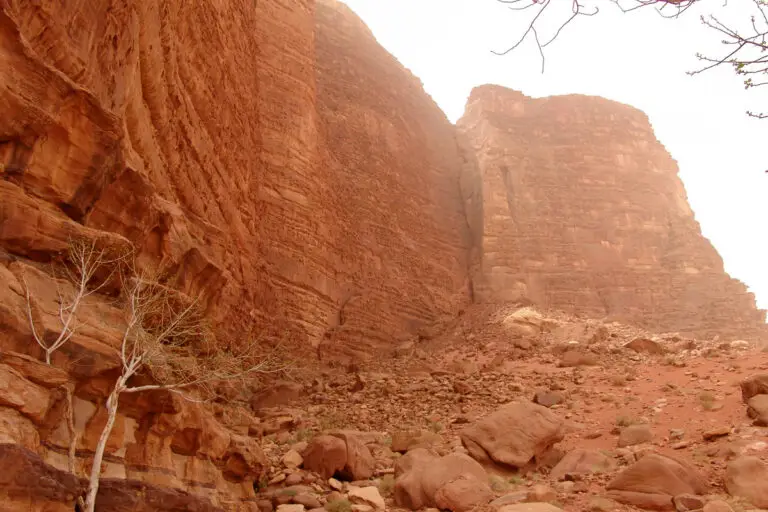Sandstorm in Wadi Rum