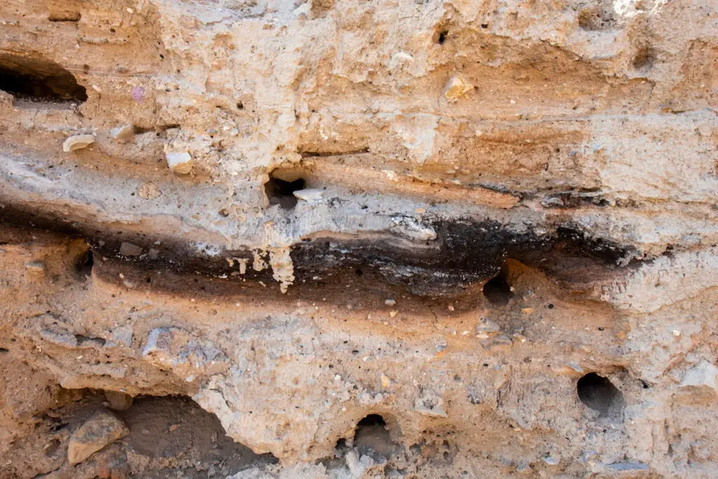 Close view of the dark burn layer in an excavation wall at Tell El-Hammam, Jordan Valley, Jordan