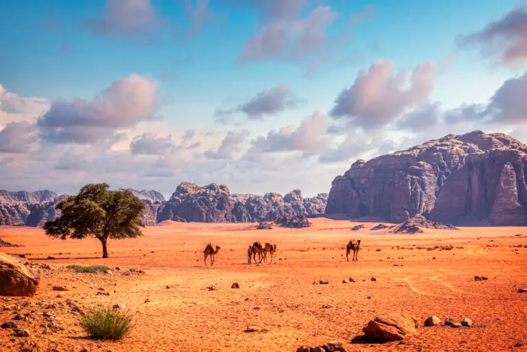 Wadi Rum Protected Area