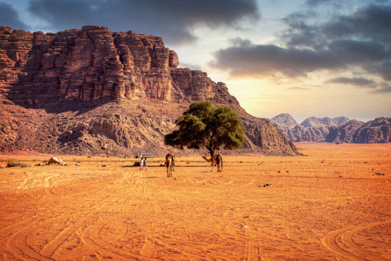 Wadi Rum-18