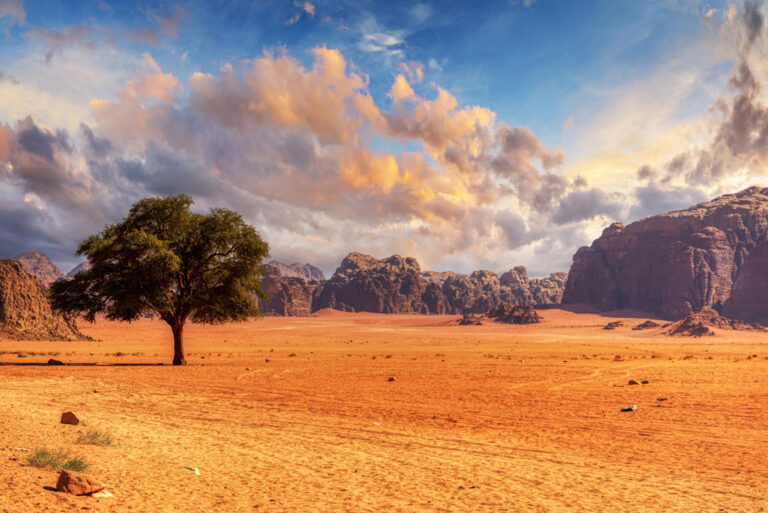 Wadi Rum-22