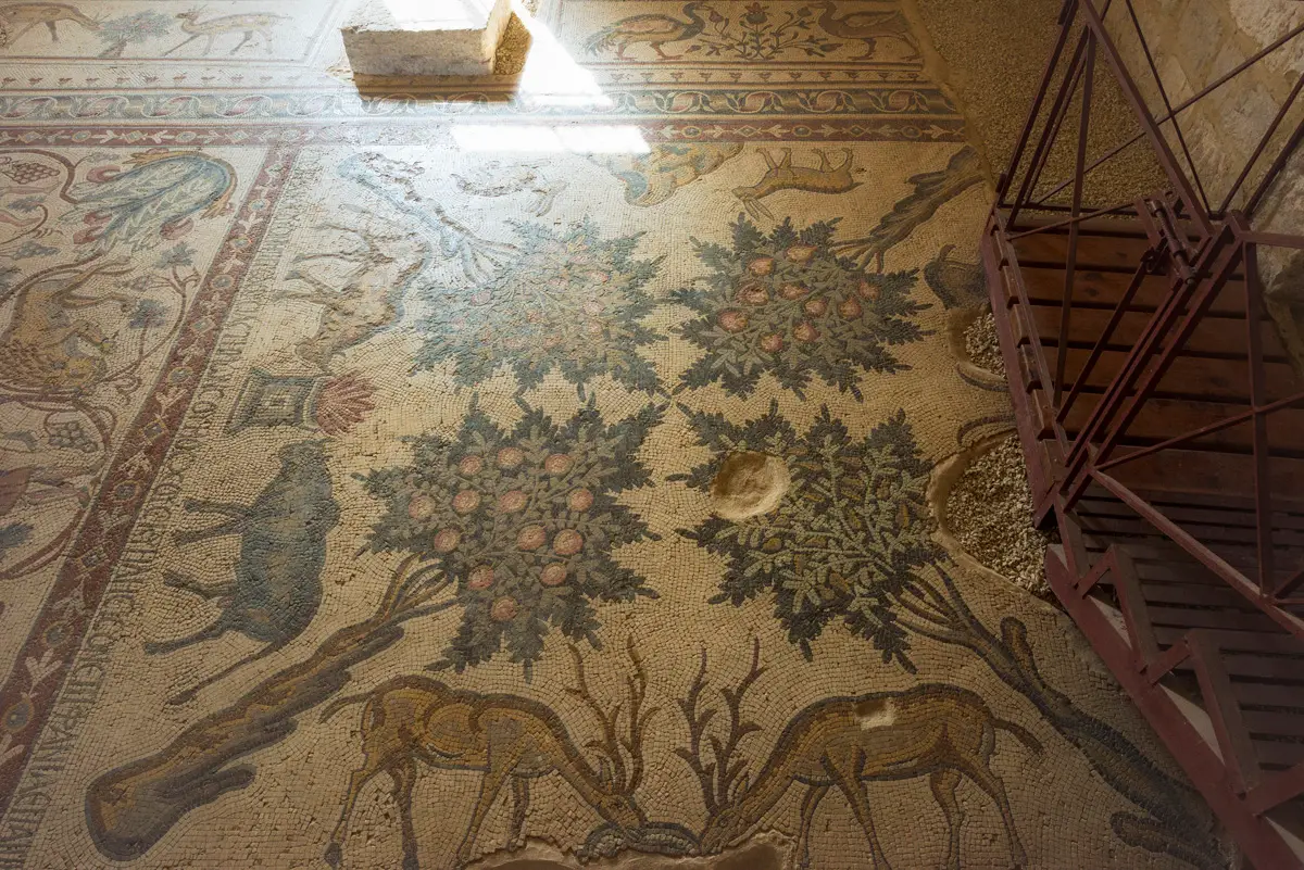 Byzantine mosaic floor with rosettes and animals in the Church of St. Lot and St. Procopius, Khirbet al-Mukhayyat