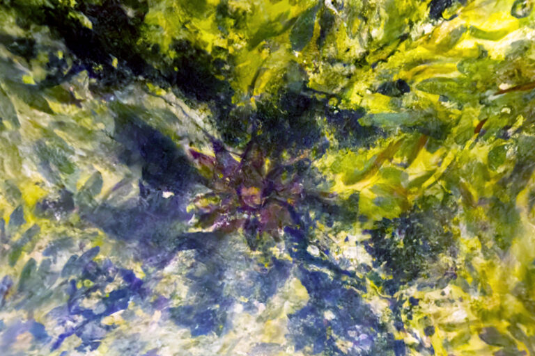 Fresco 24