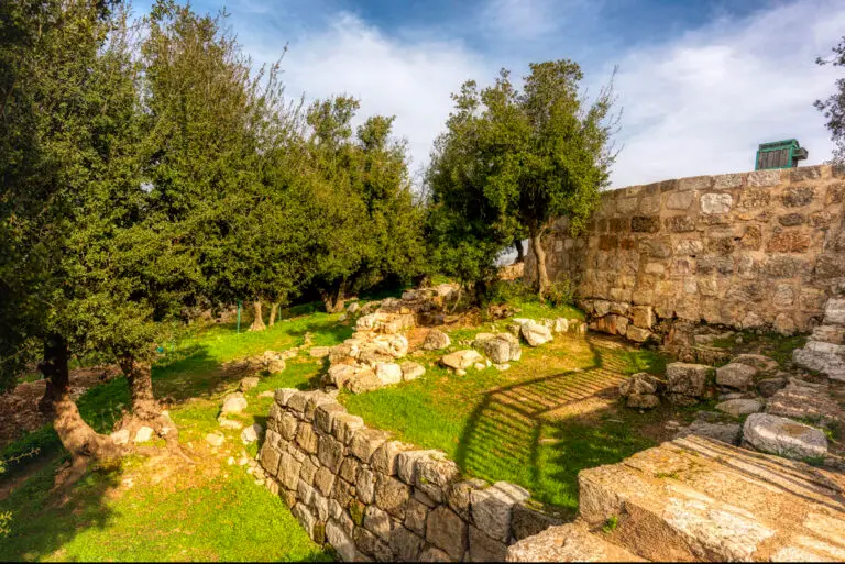 Tell Mar Elias