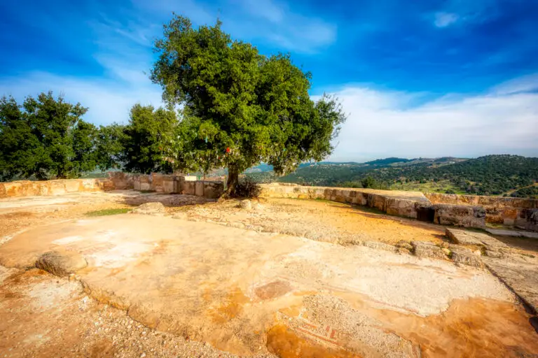 Tell Mar Elias