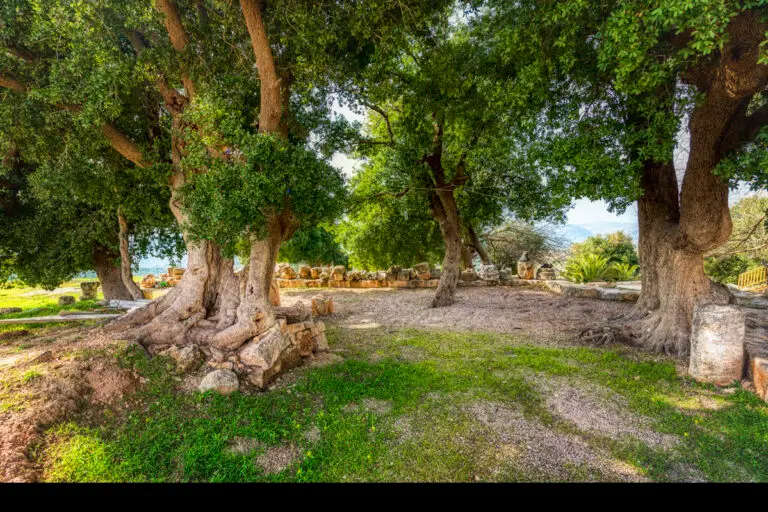 Tell Mar Elias