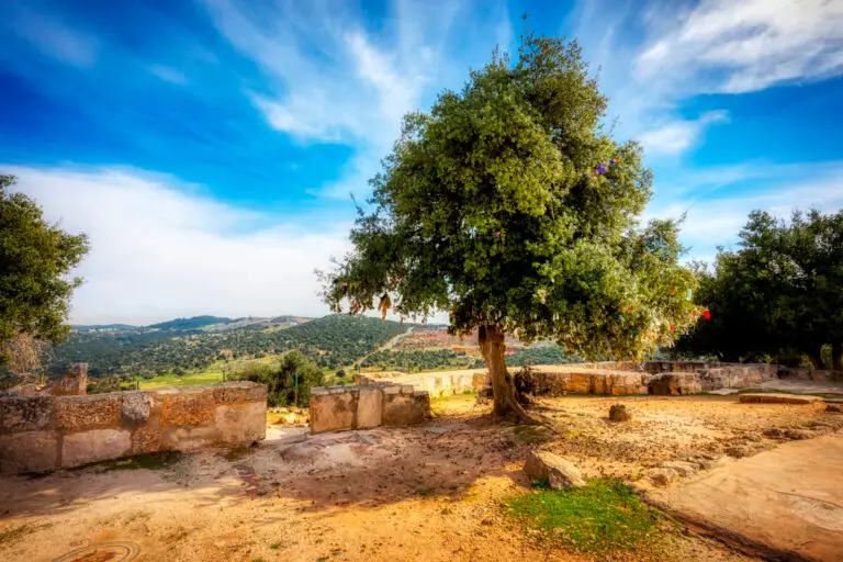 Tell Mar Elias