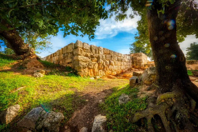Tell Mar Elias