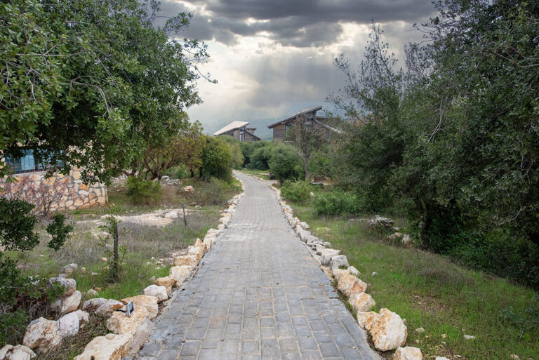Ajloun Forest Biosphere Reserve