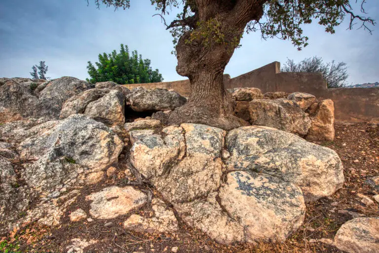 Al-Bassah