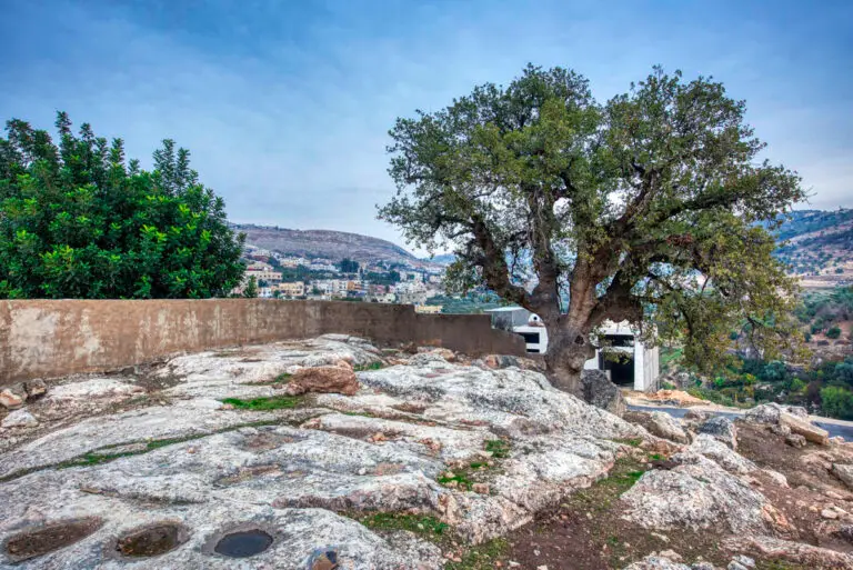 Al-Bassah