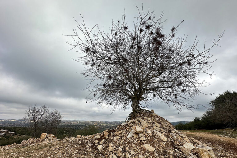 Royal Academy for Nature Conservation