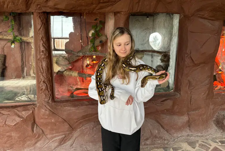 Reptiles