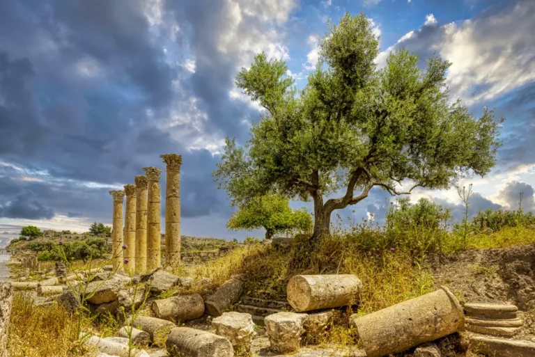 Best of Northern Jordan