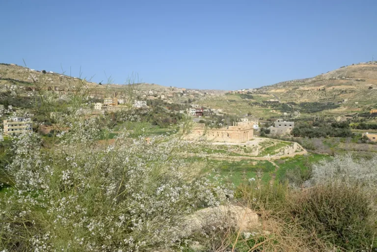 Panorama