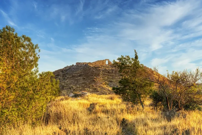 Best of King’s Highway from Amman to Petra – photo 2