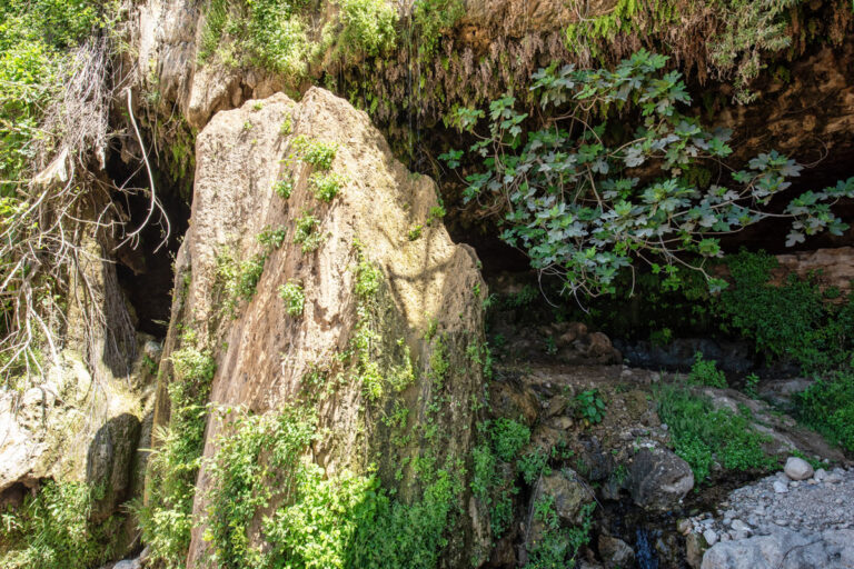 Moses Spring