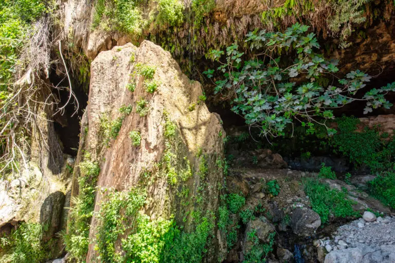Moses Spring