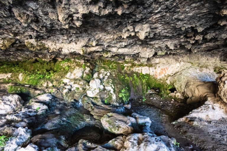 Moses Spring