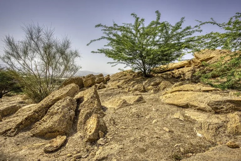 Damiya Dolmen Field