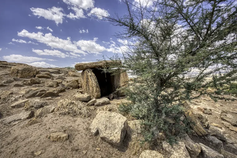 Damiya Dolmen Field