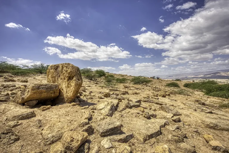 Damiya Dolmen Field