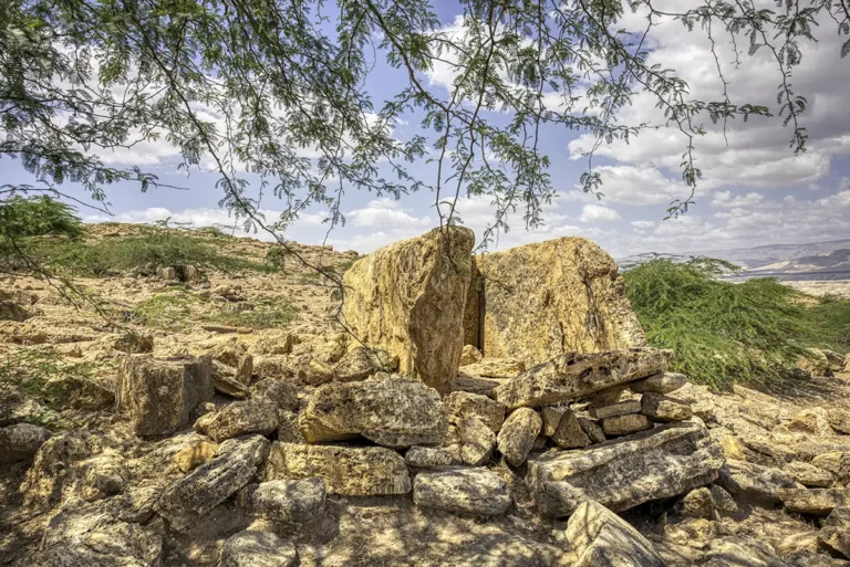 Damiya Dolmen Field